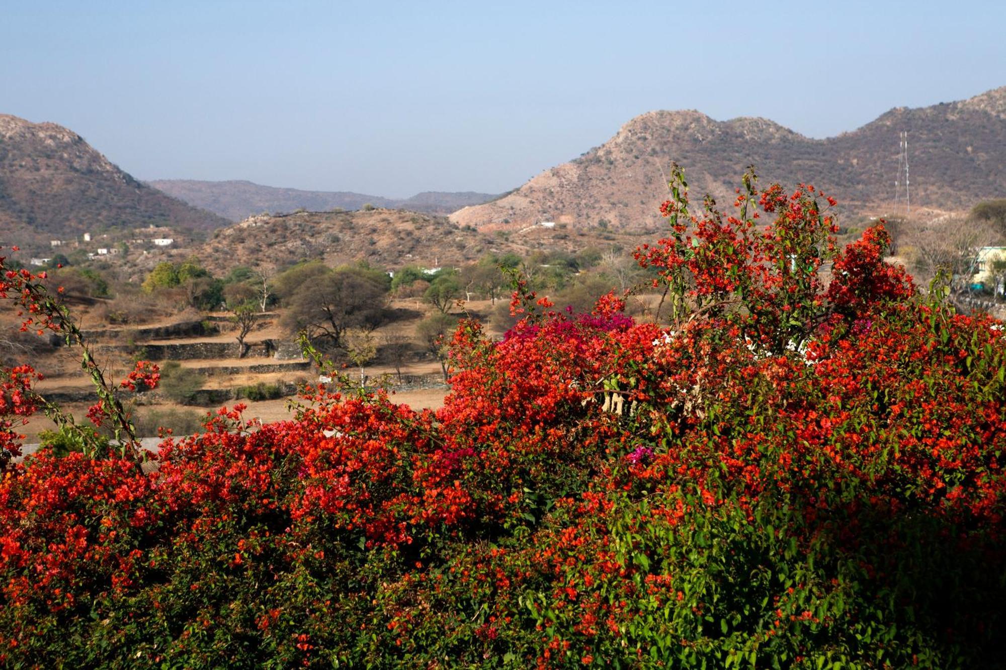 Raas Devigarh Hotel Delwara Luaran gambar