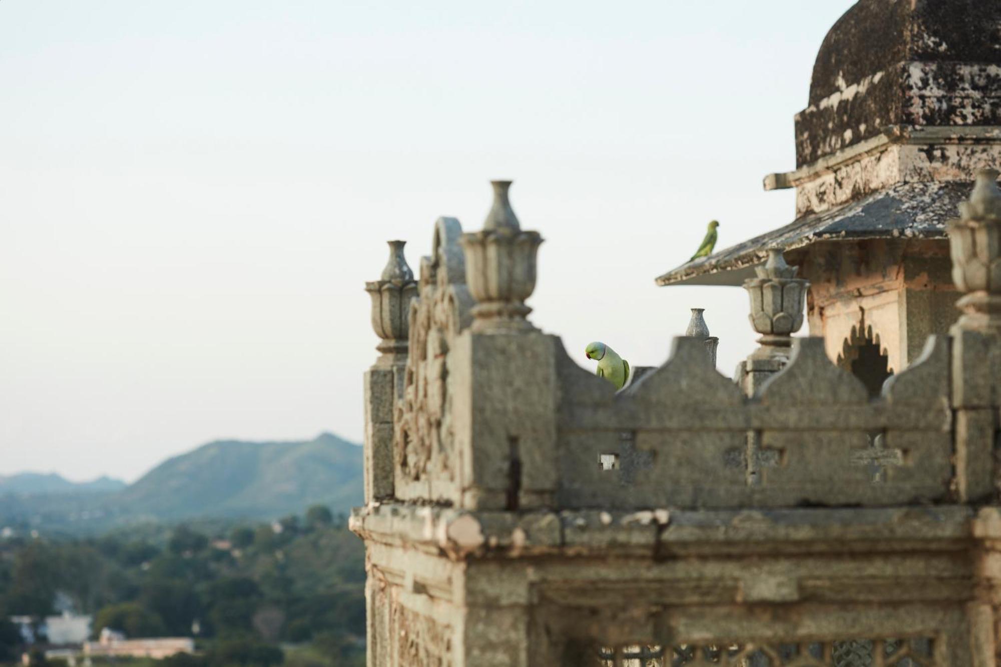 Raas Devigarh Hotel Delwara Luaran gambar